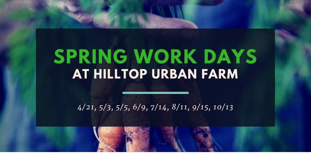 HilltopUrbanFarmPGH (@hilltopurbanfrm) on Twitter photo Check out the new work days for the Hilltop Urban Farm! Mark your calendars and be sure to bring sunscreen. More details at: tinyurl.com/yddjsr4f
<a href="/HilltopAlliance/">Hilltop Alliance</a> Check out the new work days for the Hilltop Urban Farm! Mark your calendars and be sure to bring sunscreen. More details at: tinyurl.com/yddjsr4f
<a href="/HilltopAlliance/">Hilltop Alliance</a>