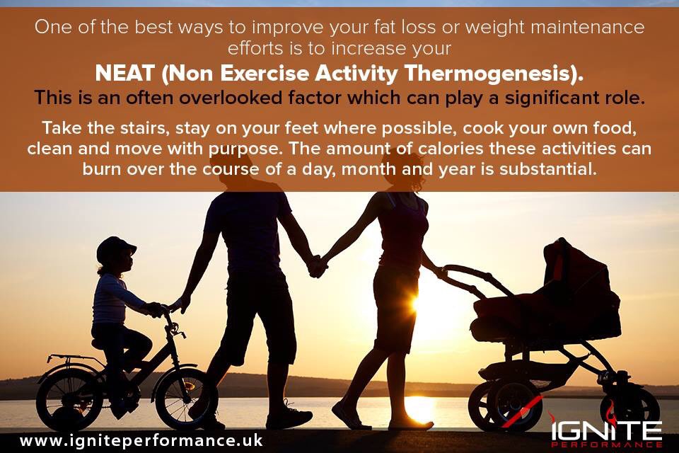 Ignite_Perform's tweet photo. One of the most overlooked components of a successful fat loss phase...
Is this the missing piece of the fat loss puzzle for you? 

#WeAreIgnite
https://t.co/z5AGrwTPIS https://t.co/alEK8pp1gq