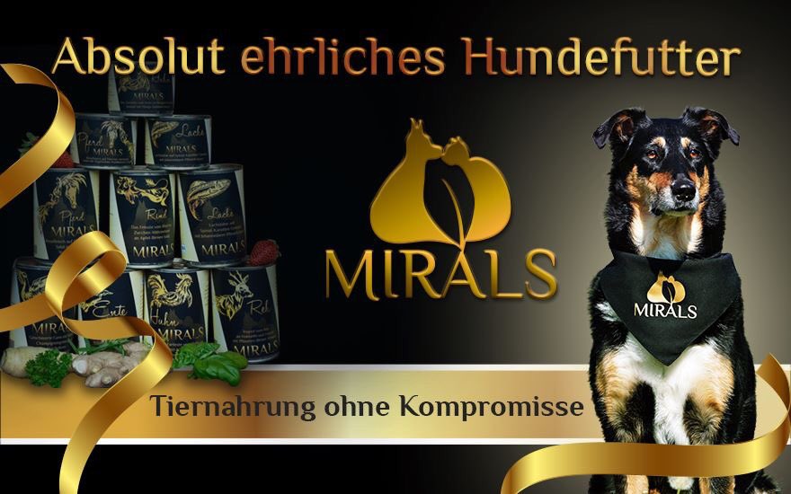 hundebett größe labrador Hundebett Groß – Weich und bequem für große Hunde – Happy-Fits main image 1