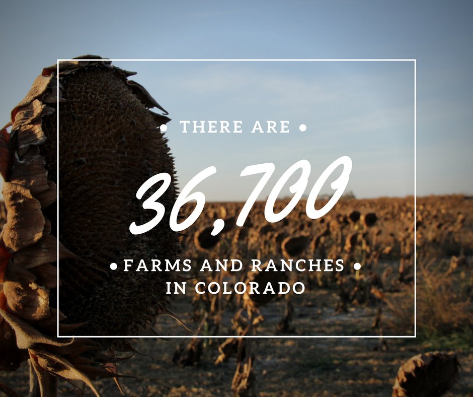 ColoFarmBureau's tweet photo. Thank you to the men and women that feed and clothe the world. #ColoradoAgDay https://t.co/TFSzIeqt3W