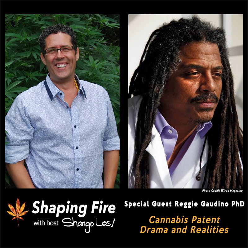 ShapingFire's tweet image. #Cannabis #patents are happening and there is a behind-the-scenes fight for control. Hear Reggie Gaudino of @SteepHillLab speak frankly about the power struggle and drama with host @ShangoLos this week on the @ShapingFire show. #marijuana