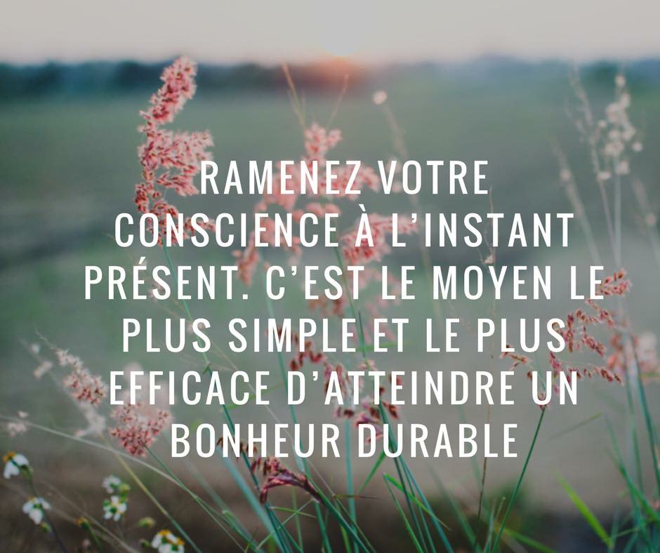 Melissa Dubard Melissa Dubard Twitter Melissa Dubard Melissa Dubard Twitter