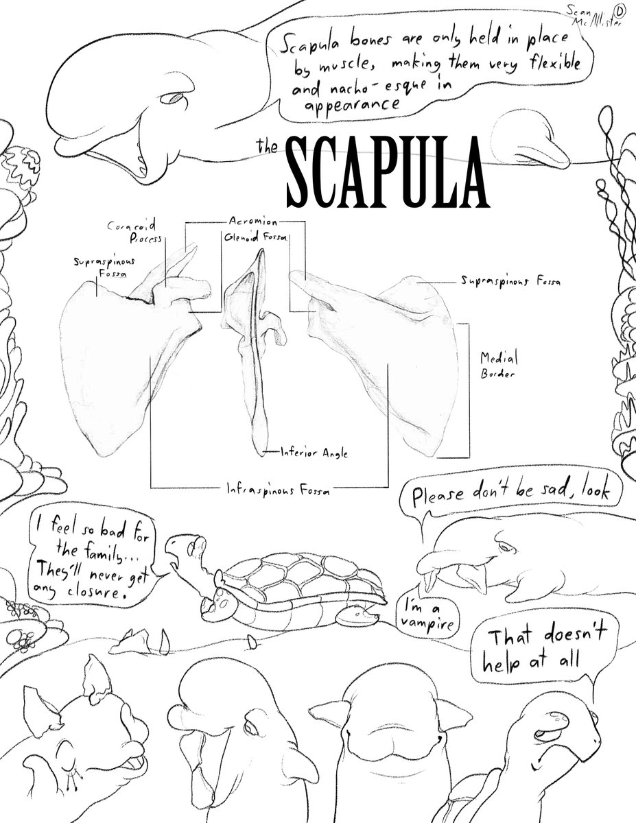 Here's a comic I made for school a couple of months ago about bone anatomy (1/2) 
