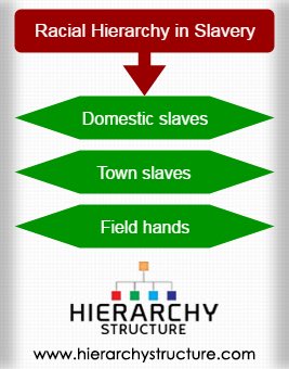 Other Europeans coming to America?Poorer Europeans coming to America?Potential for poor and working class solidarity?“Oh no,” the ruling-class Europeans thought.“Let’s construct a racial hierarchy; the psychological ‘wage’ we give whites will divide the proletariat.”