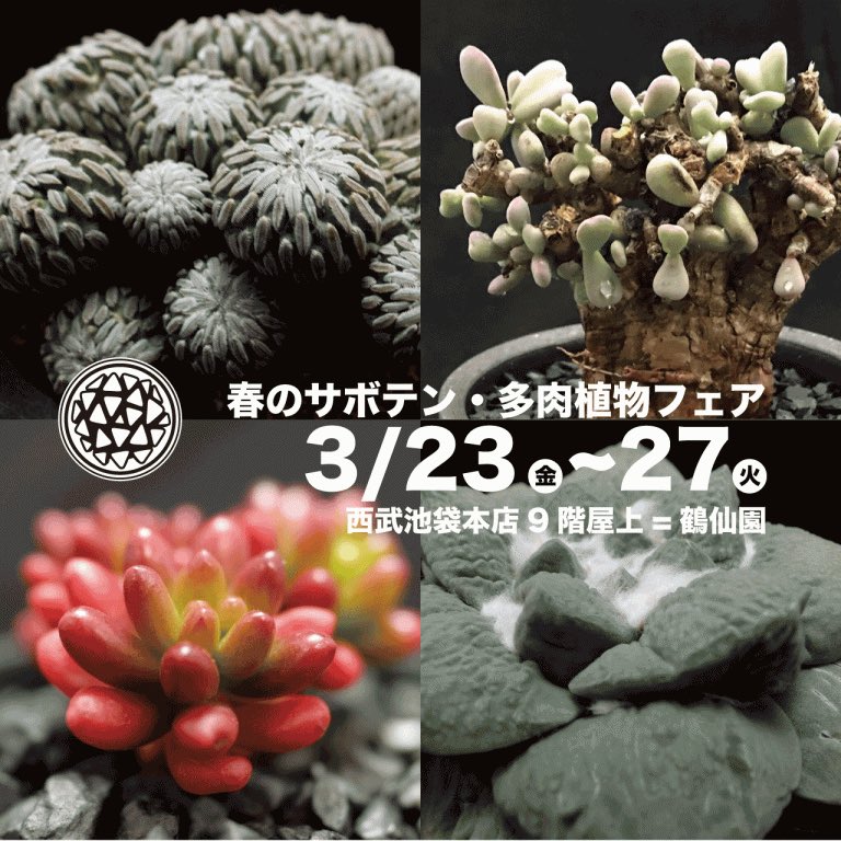 𝗞𝗔𝗞𝗨𝗦𝗘𝗡 𝗘𝗡 V Twitter おはようございます 鶴仙園西武池袋店です 毎年恒例のサボテン 多肉植物フェアは本日10時00分からスタートです 皆様のご来店を心よりお待ちしております