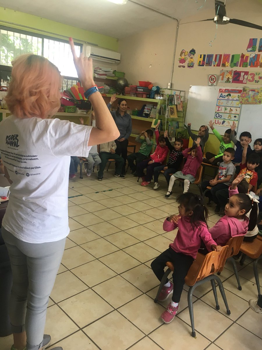gatolina's tweet photo. Prevención, educación, socializar y hacer políticas públicas en protección animal para prevención de la violencia debe ser tema prioritario en los gobiernos. Visitamos preescolar Usi Kary col. #Akiwiki mensaje de respeto a todo ser #PoderAnimal #Hermosillo es de #GenteBuena. https://t.co/wvmdkBP6CO