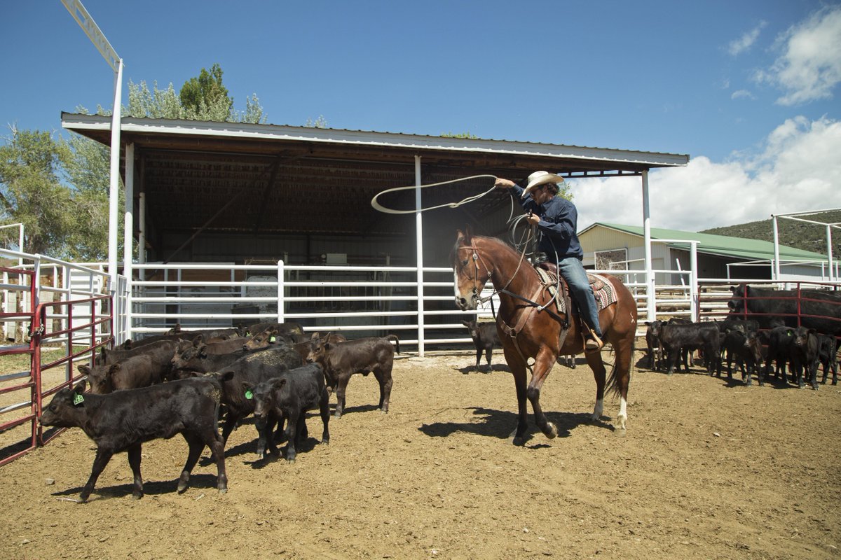 AngusAssoc's tweet image. The future belongs to those of us still willing to get our hands dirty. #NationalAgWeek #SpeakAg #IAmAngus