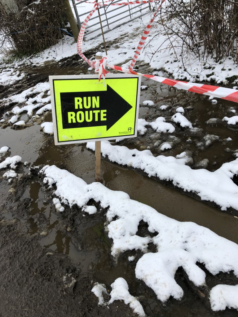 HamiltonTheDog tweet media