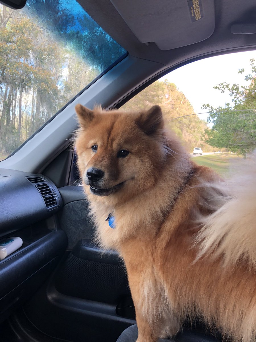 Hailey tweet media