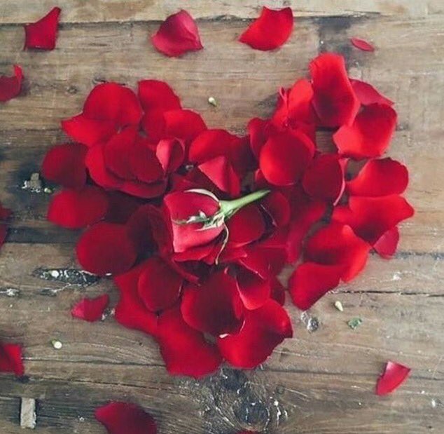 ddjj511's tweet photo. غلاك في روحي ترى صار مزروع
حتى المشاعر  ترجمت لك غلاها

أناوقلبي  والاحساس لك طوع
والروح لو راحت من أجلك فداها https://t.co/CvAqqGXp2B