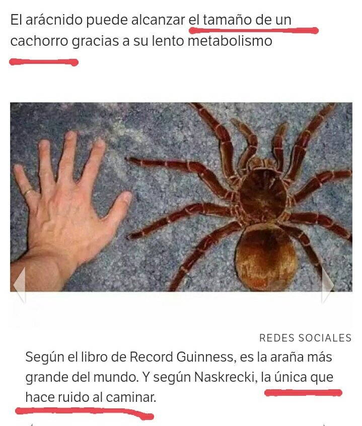 iglesiavirtuaal's tweet photo. nos re vimos https://t.co/Vs20YslnMb