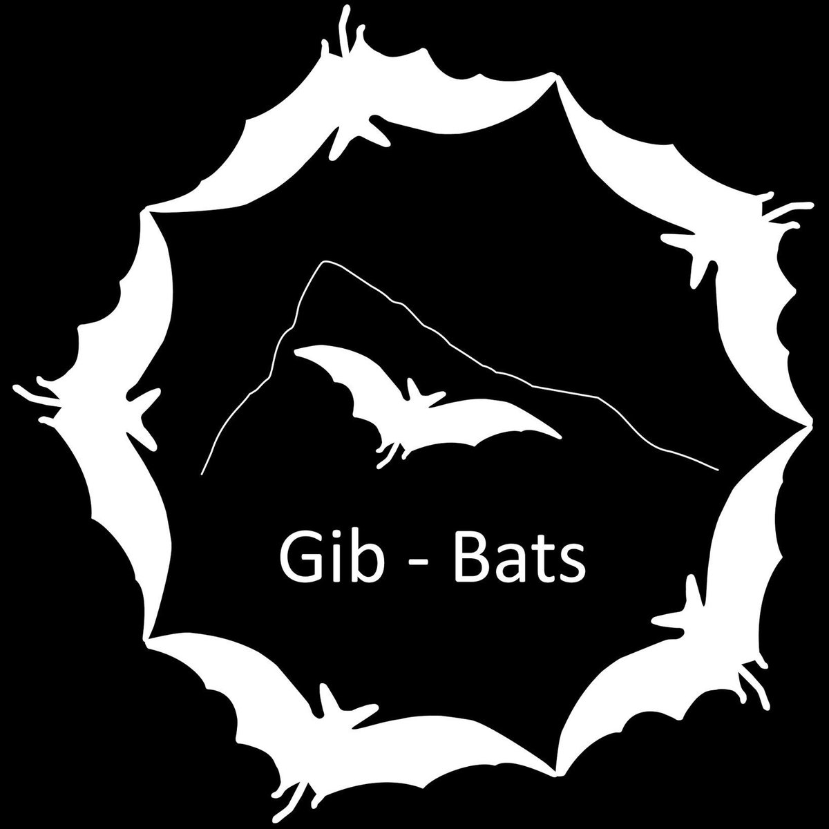 Batman_Shipman's tweet image. Privileged to talk about @GibBats project as well as #Trees 🌳 and @civictrees to the #Kent #Batgroup this evening! It was lovely to see you all! Now for some sleep! 🦇😀😴