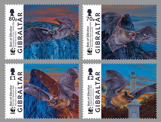 Batman_Shipman's tweet image. Privileged to talk about @GibBats project as well as #Trees 🌳 and @civictrees to the #Kent #Batgroup this evening! It was lovely to see you all! Now for some sleep! 🦇😀😴