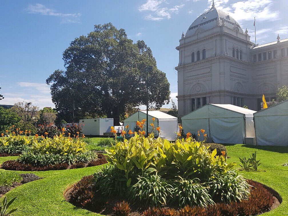 Canna Tropicanna® Gold provides a golden touch against the backdrop of the Royal Exhibition Buildings for #mifgs2018. Make sure you get along to this year’s show for some #gardeningideas  #tropicanna #cannatropicanna #cannas #MIFGS #gardenshow #gardendesign #landscapedesign