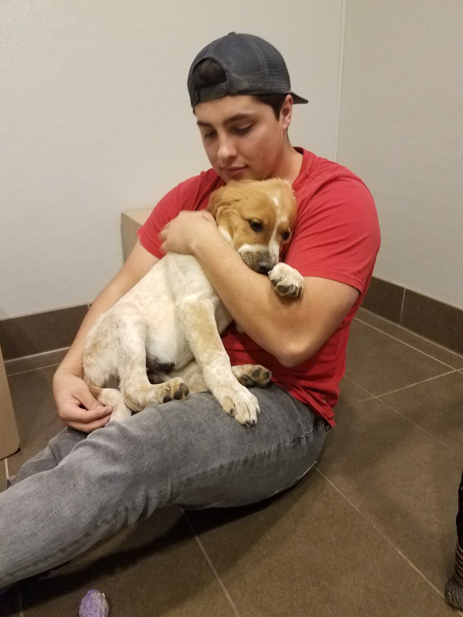 natesal697's tweet photo. I adopted a bear cub today. His name is Wilbur and we're best friends. https://t.co/tcMVXwgTGQ