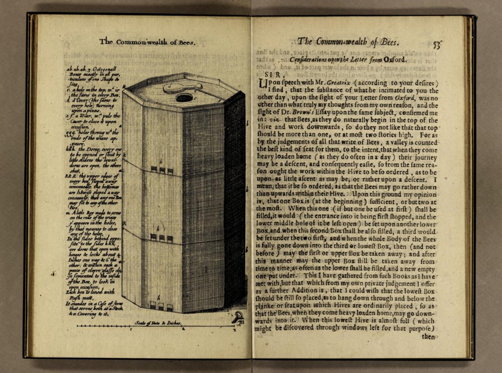 One the greatest architects and scientific minds England, Sir Christopher Wren (1632-1723) created a three part octagonal hive with glass panels. Still no frames, and not being a beekeeper himself, it did not work too well (too large etc.). Here a similar idea, Hartlib, 1655.