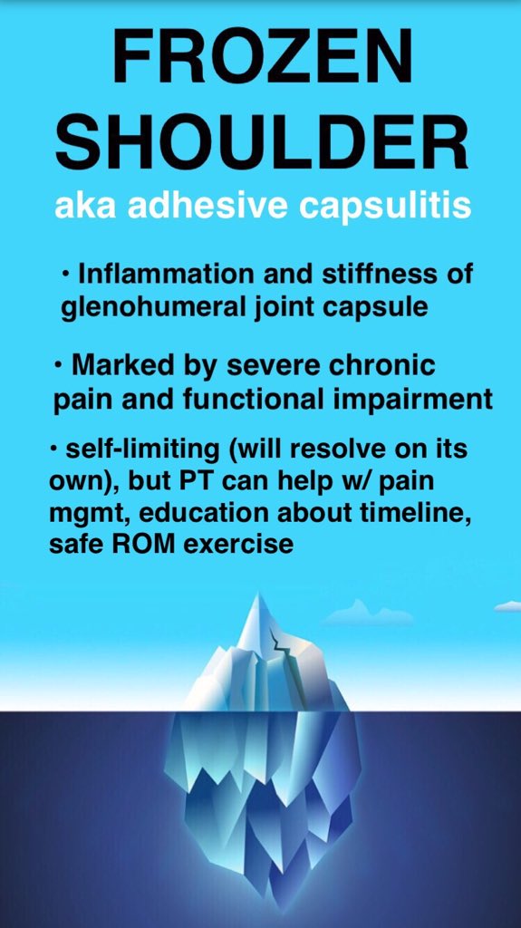 SnapSPT 👻 tweet media