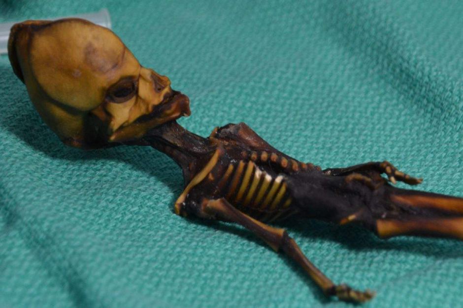 Scientists solve 'alien' skeleton mystery ab.co/2IKij83 (📸: Emery Smith) #science