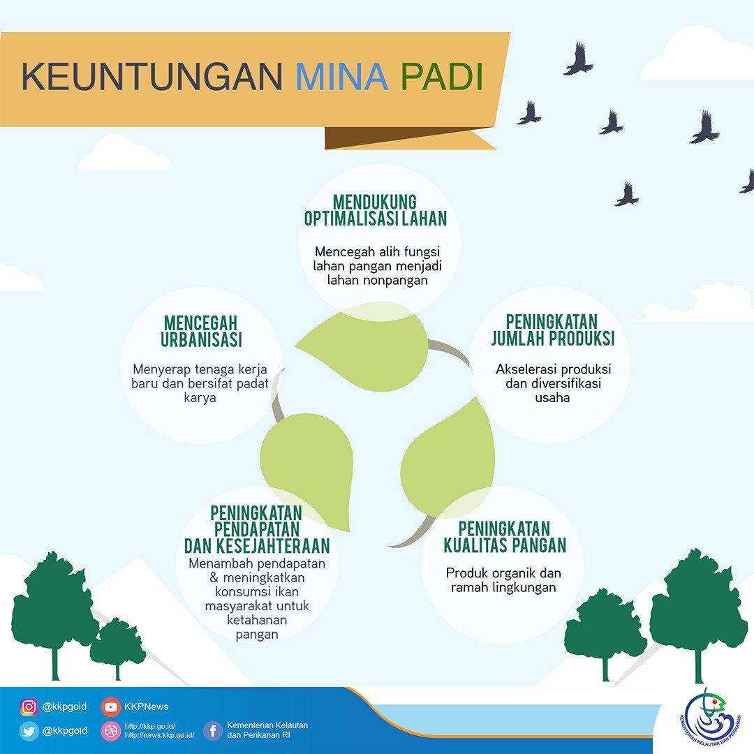 kkpgoid's tweet photo. Apa sih keuntungan Mina Padi? Oh, tentu banyak. Selain mendukung optimalisasi lahan, Mina Padi juga meningkatkan jumlah produksi, meningkatkan kualitas pangan, meningkatkan pendapatan dan kesejahteraan, belum lagi mencegah urbanisasi. #MinapadiDihati https://t.co/6MiSNQ5mnG