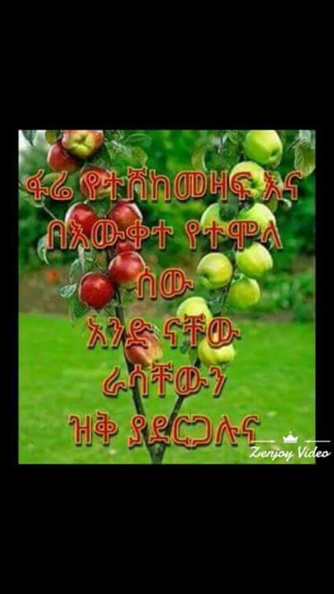 Mssrat1's tweet photo. https://t.co/GN6wVsatUr