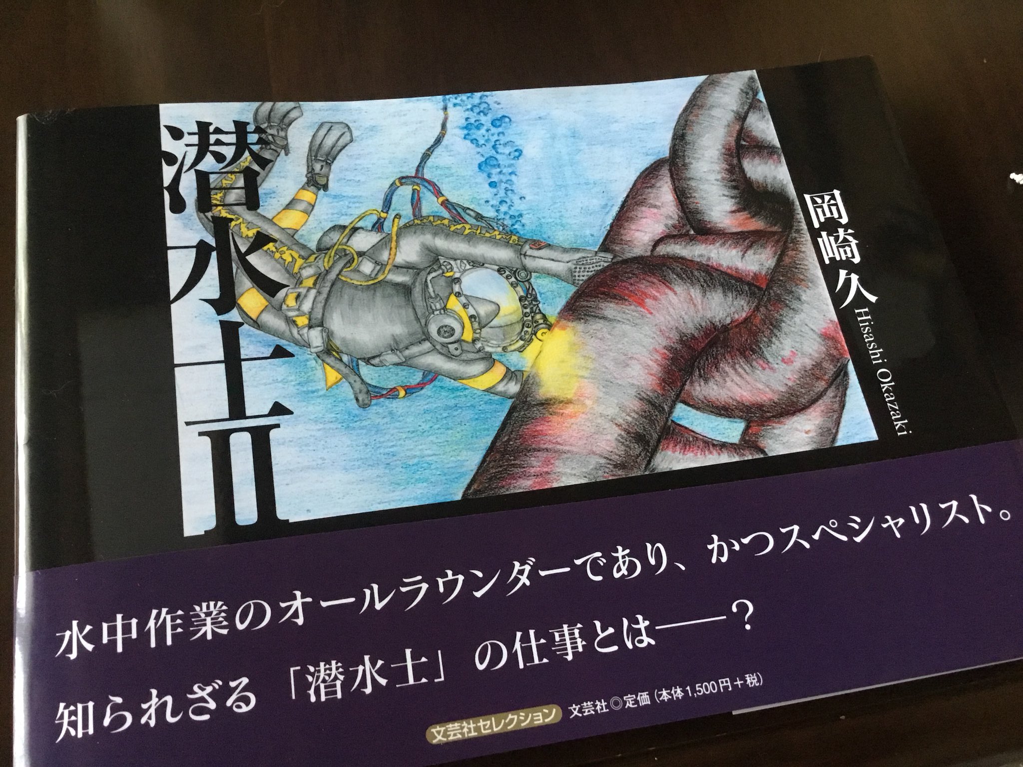 تويتر 山下いくと エヴァンゲリオンanima全5巻 على تويتر 潜水士さん筆のお仕事イラスト集を購入 ダムの底から港湾 原子炉サプレッションプールなどエトセトラエトセトラ 確かにオールラウンダー 巨大インフラの内臓や設置場所に潜るお仕事が多くて なんだか