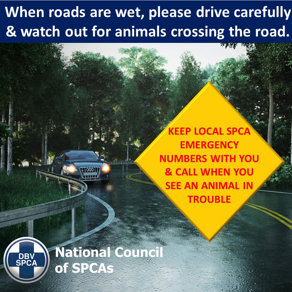 NSPCA_SA's tweet photo. #ArriveAlive https://t.co/rsfFzyHqgO
