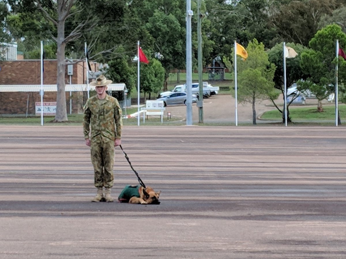 The old maxim of the Infantryman, 'eat when you can, sleep when you can'.  A fine demonstration from the Depot Company RAR Mascot, Sarge 😴 @SOI_Singleton @RARAssn @FORCOMDMedia @RSMFORCOMD