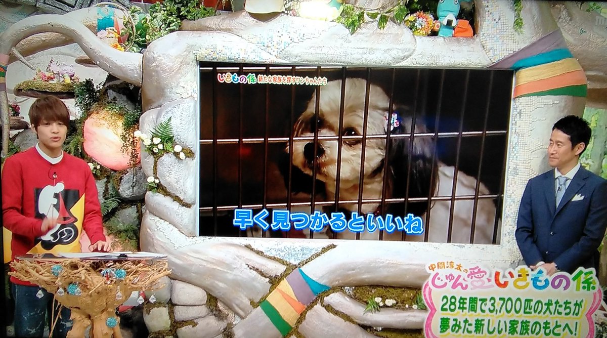 動画 ジャニーズで一番心が優しいのは中間淳太だった ちちんぷいぷい ジャニ Com じゃにこむ 動画 ジャニーズで一番心が優しいのは中間淳太だった ちちんぷいぷい ジャニ Com じゃにこむ