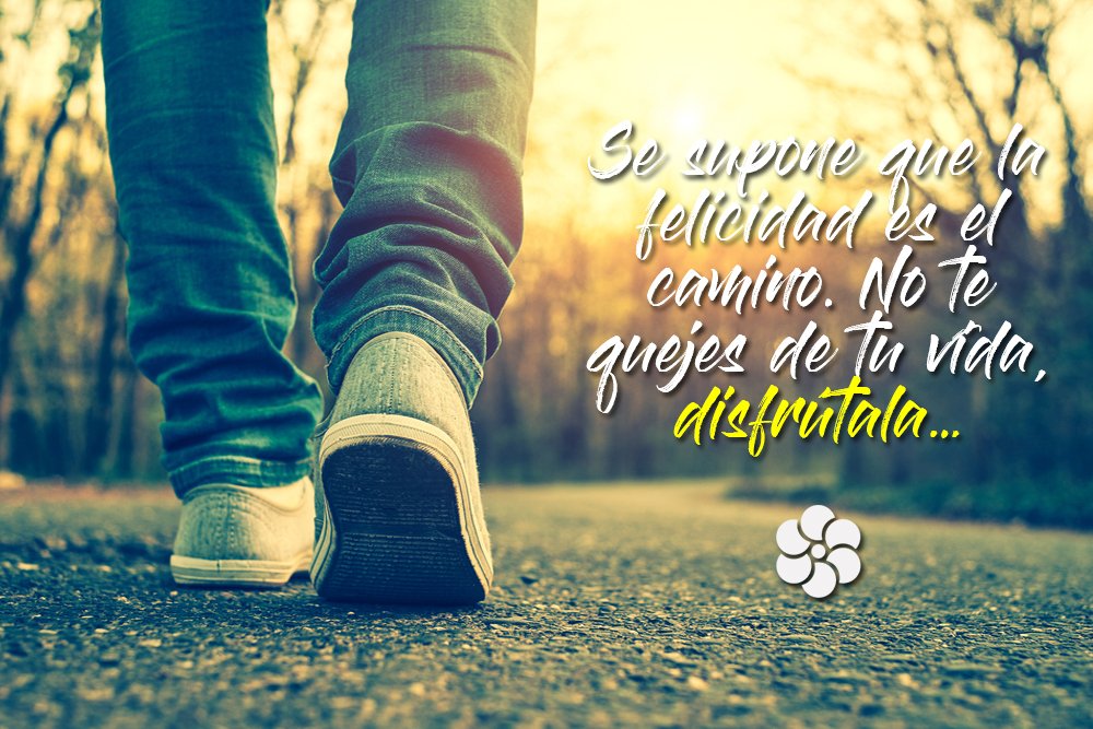 CirculoRiqueza's tweet photo. "La #felicidad es el camino, no el #destino".

En el futuro cuando mires atrás desearás volver a estar en donde estás hoy, y ya será demasiado tarde. ⭕️⚔️

#FelizJueves
#Negocios
#DineroExtra
#MentesMillonarias
#Dinero
#LibertadFinanciera
#Emprender
#Liderazgo

. https://t.co/4GkElugg6I