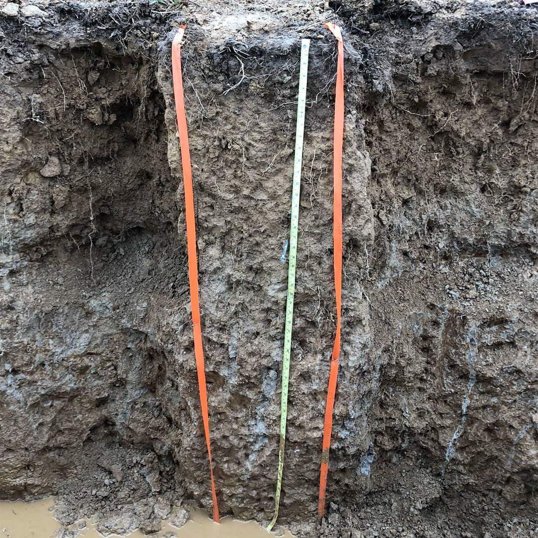 UMDsoiljudging's tweet photo. Saw some great pits this week and had our four individuals compete in the National Collegiate Soil Judging Contest today! https://t.co/nCpso4aSiN
