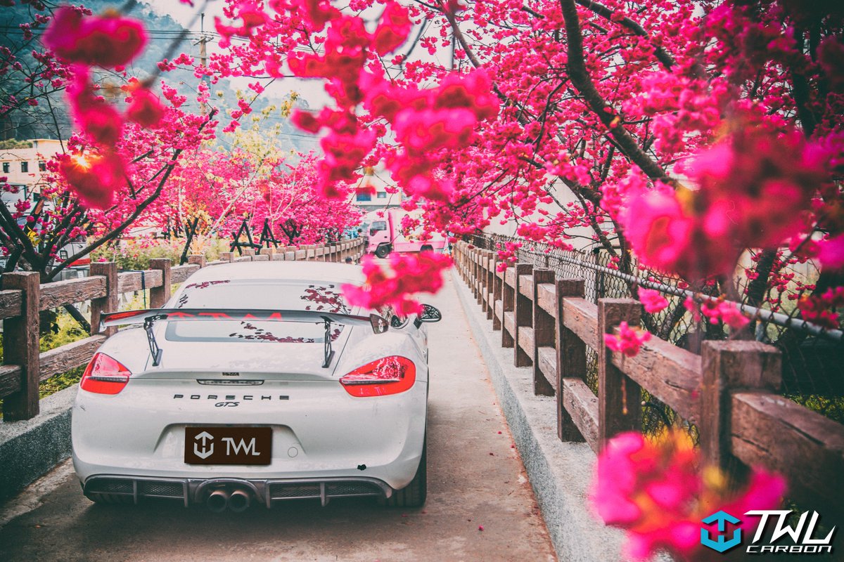 Do you remenber that day?

You said " I want to see the cherry blossom with you".

🌸🌸🌸

#hanami #sakura #heaven #TWLCARBON #porsche981