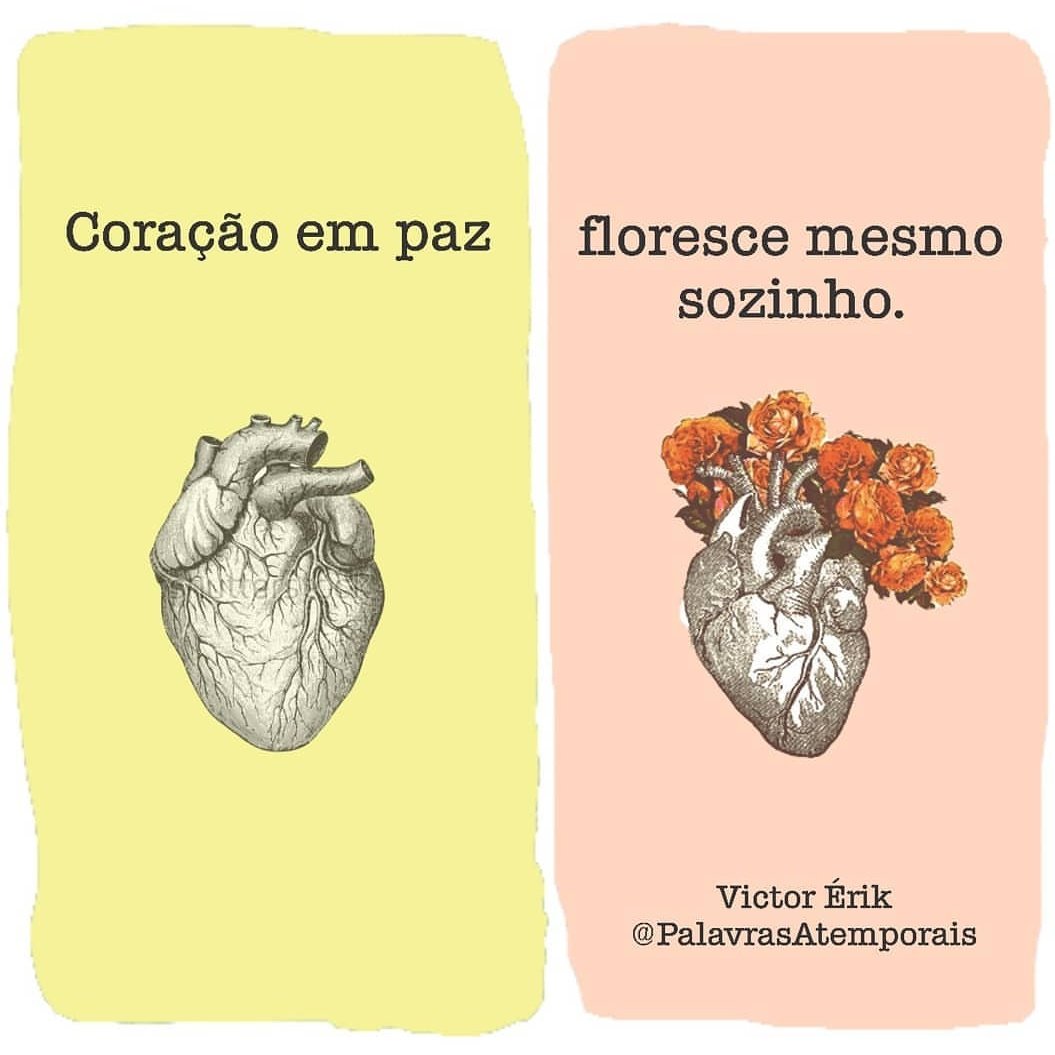 daybrugger's tweet photo. Compreende, menina... https://t.co/ZkYhDFrOZD