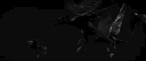 Let those dark dreams of yours take flight 😈😈😈