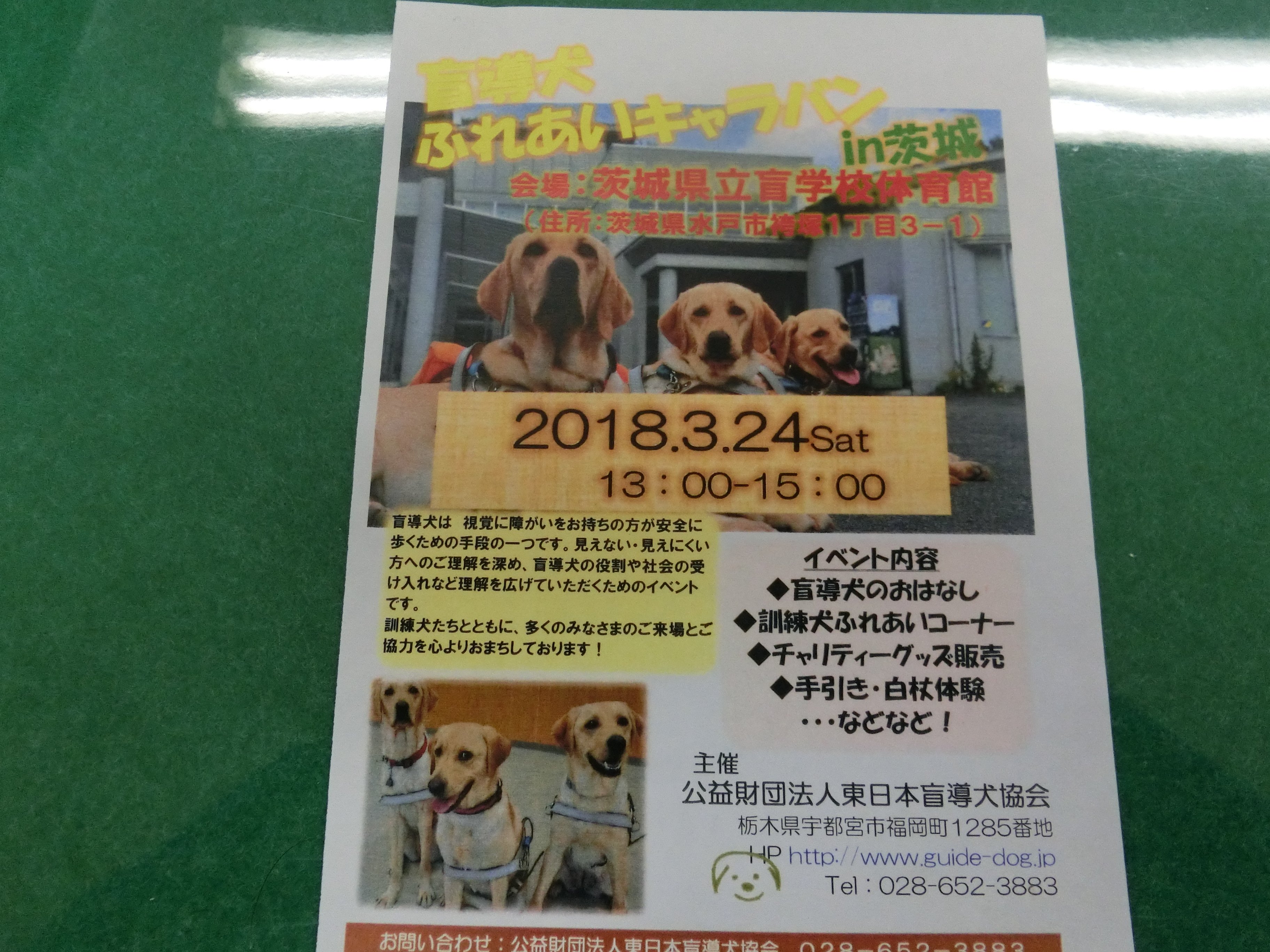 ট ইট র Hitachinakavc 盲導犬ふれあいキャラバン In茨城 盲導犬や目の見えない人にいて学んでみませんか 日 時 平成30年3月24日 土 13 00 15 00 場 所 茨城県立盲学校体育館 水戸市袴塚１丁目3 1 内 容 盲導犬のおはなし ふれあい