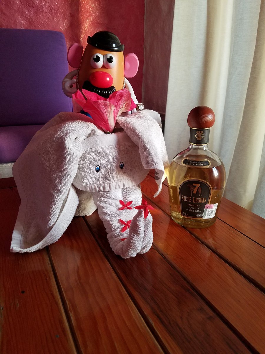 findnkeeptrophy's tweet photo. With #sieteleguas anything can happen to past FNK Champs. A potato &amp; an elephant walk into a bar in Zihuatanejo..... https://t.co/wM4dnxRHSI