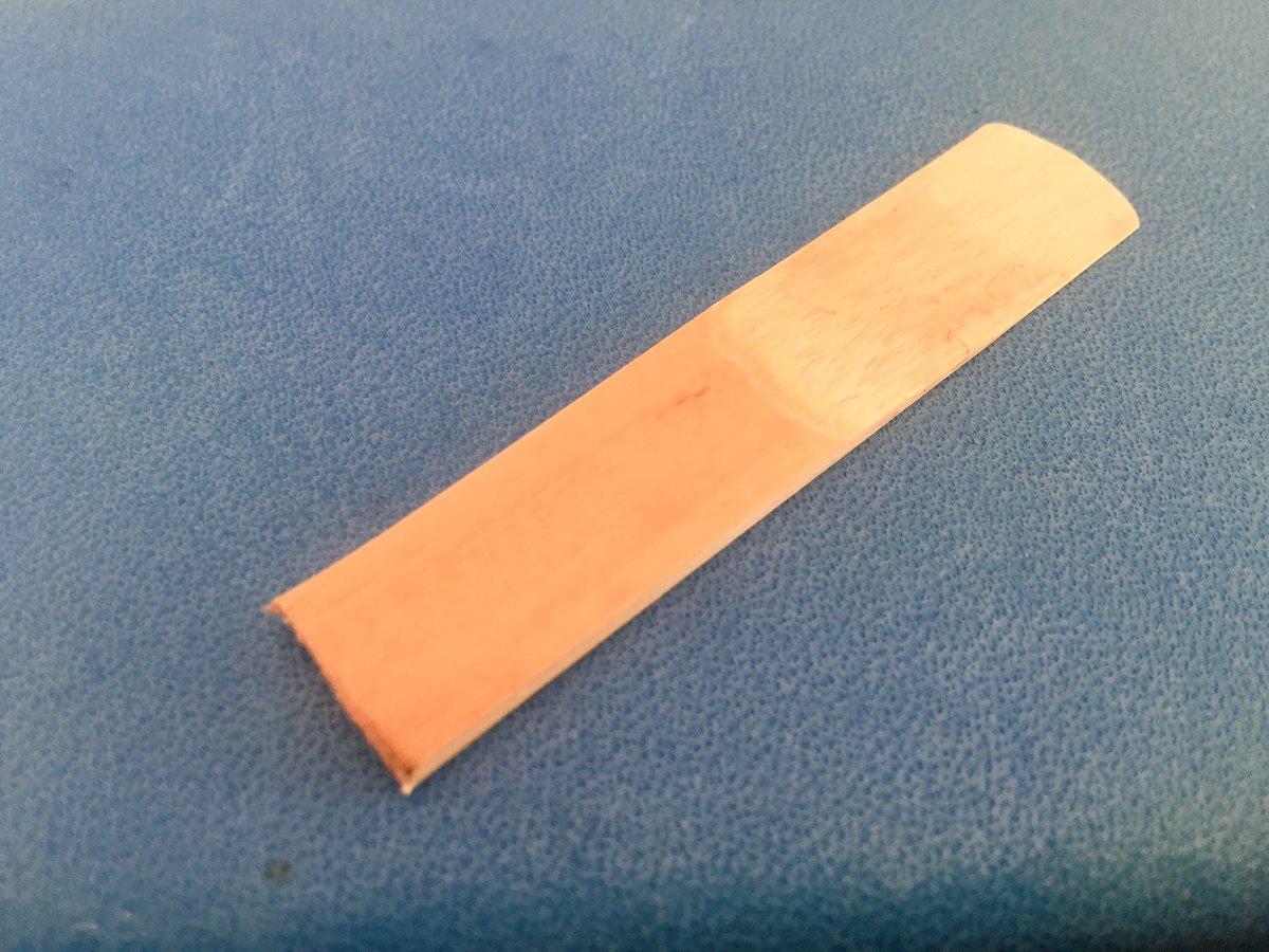 タジマハル エスクラ練 リードなかったから使い古したロイトナーを適当にカットして再利用 これが意外と調子良くてわざわざエスクラのリード買うのやめようと思うレベル