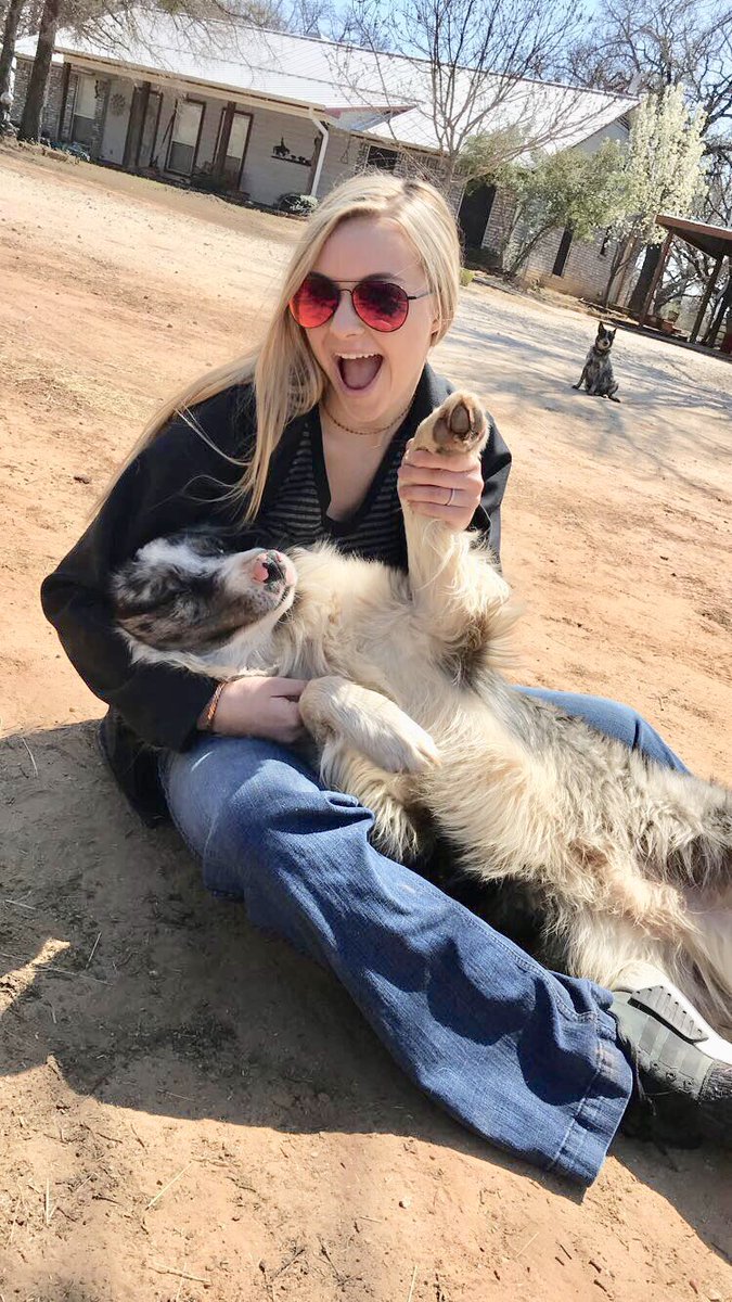 bayybej's tweet photo. Poor dog🤷🏼‍♀️ https://t.co/9iyimo9oH5