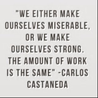 diaryofmother_'s tweet photo. #morningmotivation #morningmantra #dailymotivation #dailymantra #inspirationalquotes #motivationalquote #thoughtoftheday #quoteoftheday #diaryofamother #fridaywisdom #friday #23rdmarch #dontbemiserable #makeyourselfstrong #bestrong #becourageous #workonself #donotlosehope https://t.co/ZZWG1OR4zI