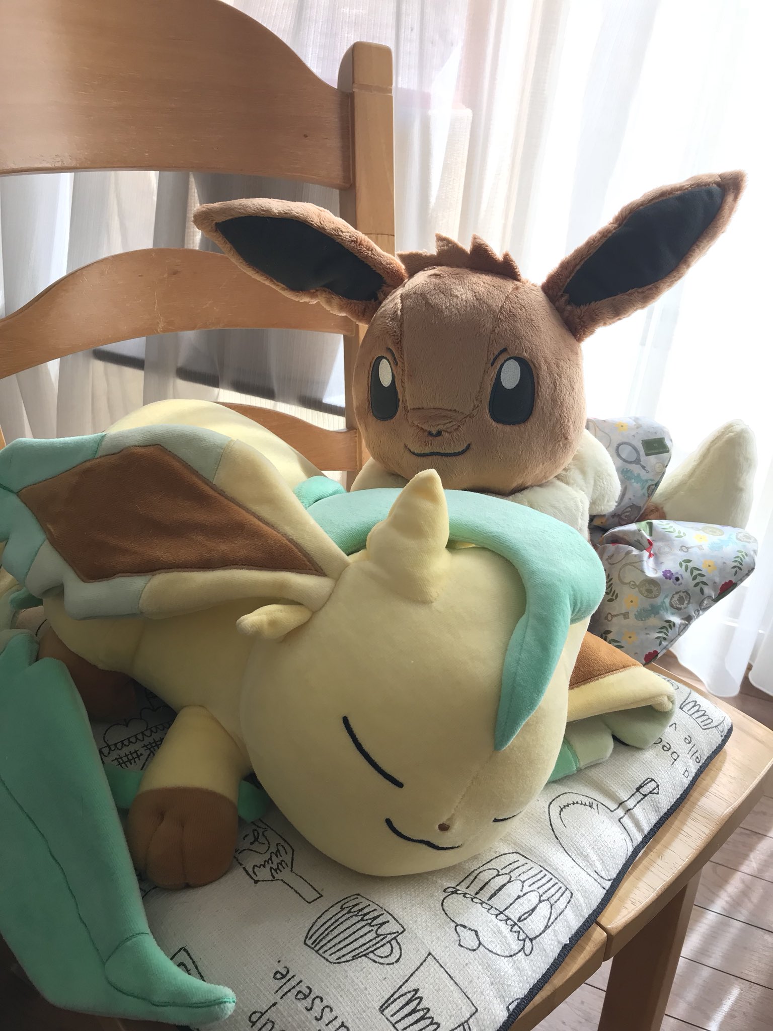 ふぃあ プロジェクトイーブイ ポケセントウホクで一番くじを引いたら ラストワン賞もらっちゃった すやすやリーフィア 起きたらどんな反応するかな ふぃあ プロジェクトイーブイ ポケセントウホクで一番くじを引いたら ラストワン賞もらっちゃった すやすやリーフィア 起きたらどんな反応するかな