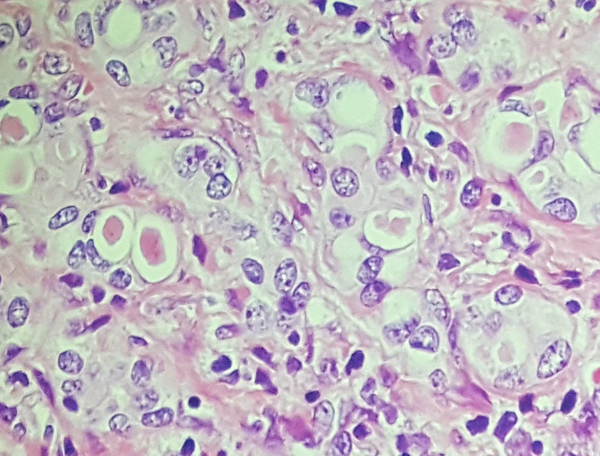 Sanjay Kakar tweet media