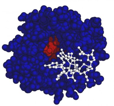 vegetos123's tweet photo. #bacteria eat #greenhouse gas with a side of two proteins responsible for methanotrophic bacteria's ability to take up copper for use in methane #metabolism . More https://t.co/iDaUs1Gj6V https://t.co/Ho3EvTz9ti