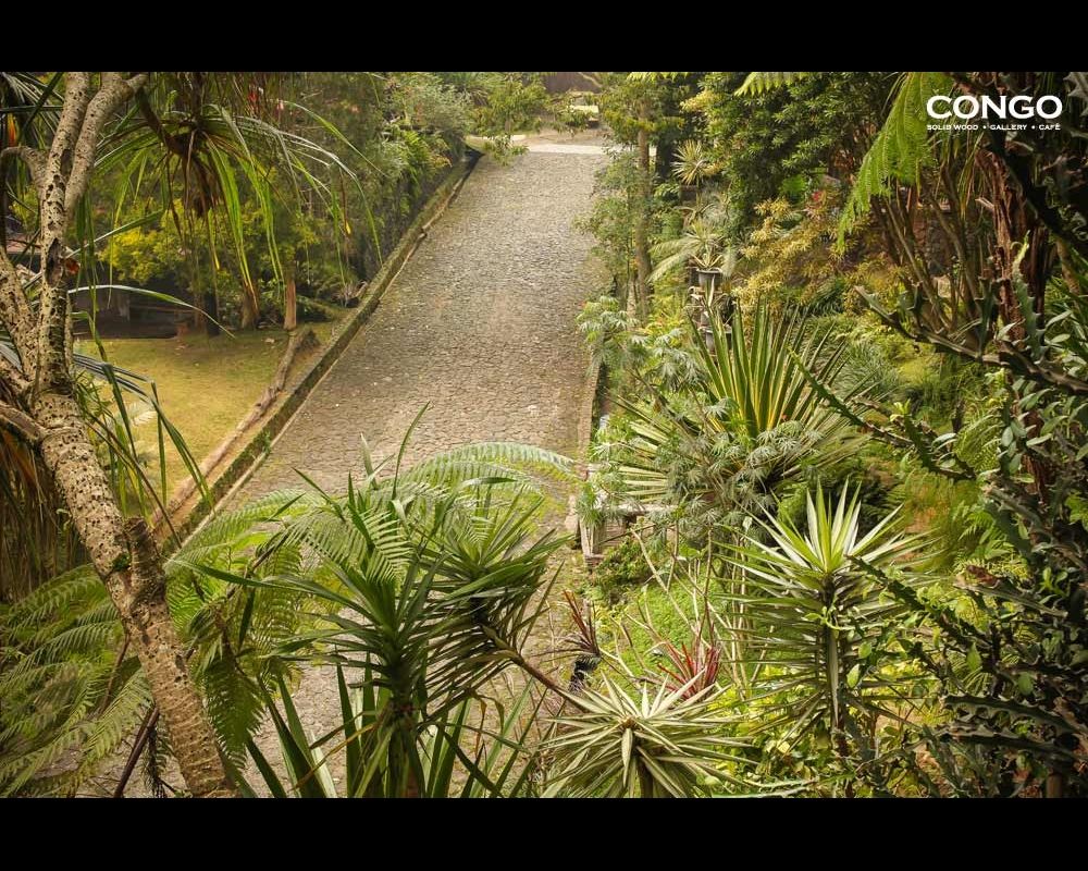 It's Friday afternoon and traffic on this little stretch of road leading to Congo Café is going to get quite busy. Want to beat the traffic? Come in early, or call +62 917 022 1788 to reserve a table now...