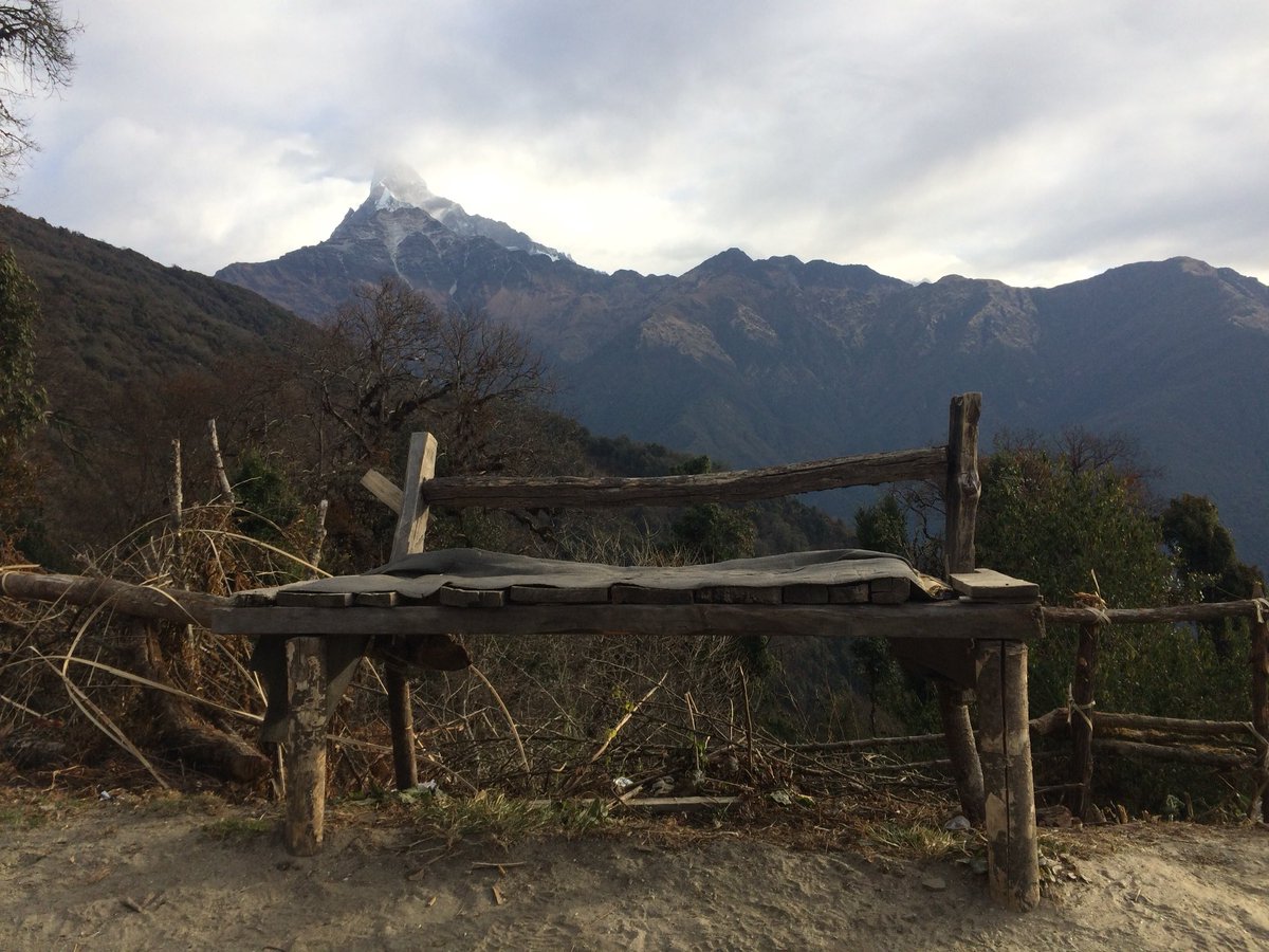 PathToHimalayas's tweet photo. #exploring #macchapuchhre #MardiHimal #Himalayas #Mountains #Nepal #Asia #travel #trekking #hiking #adventure #wanderlust #BUCKETLIST #photography https://t.co/2vhYvqSJX0