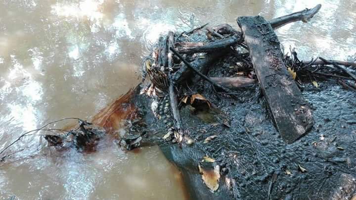 SergioGrandasM's tweet photo. La emergencia ambiental por cuenta del derrame de petróleo en Barrancabermeja ha sido tan minimizada, que ni un pronunciamiento ha merecido por parte del Pte @JuanManSantos.
20 días y aún @ECOPETROL_SA no ha podido controlar, lo que sería, una fuga en uno de sus pozos https://t.co/oejOWDdN8y