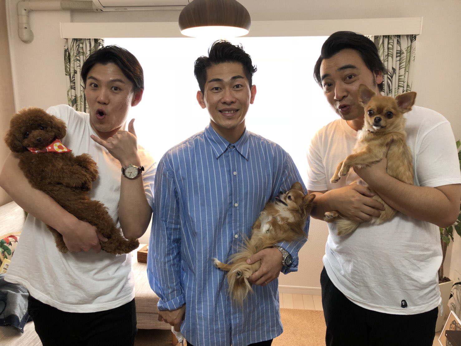 ジャングルポケット斉藤 生き物にサンキュー のロケしてきました 3人のそれぞれの愛犬と共に 癒される時間にサンキュー 家で過ごしている時の態度と全く違くてびっくりドンキーでした T Co Xycg4u2bid Twitter