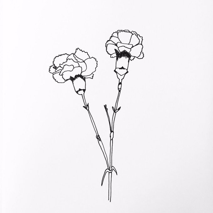 カーネーションのtwitterイラスト検索結果 古い順