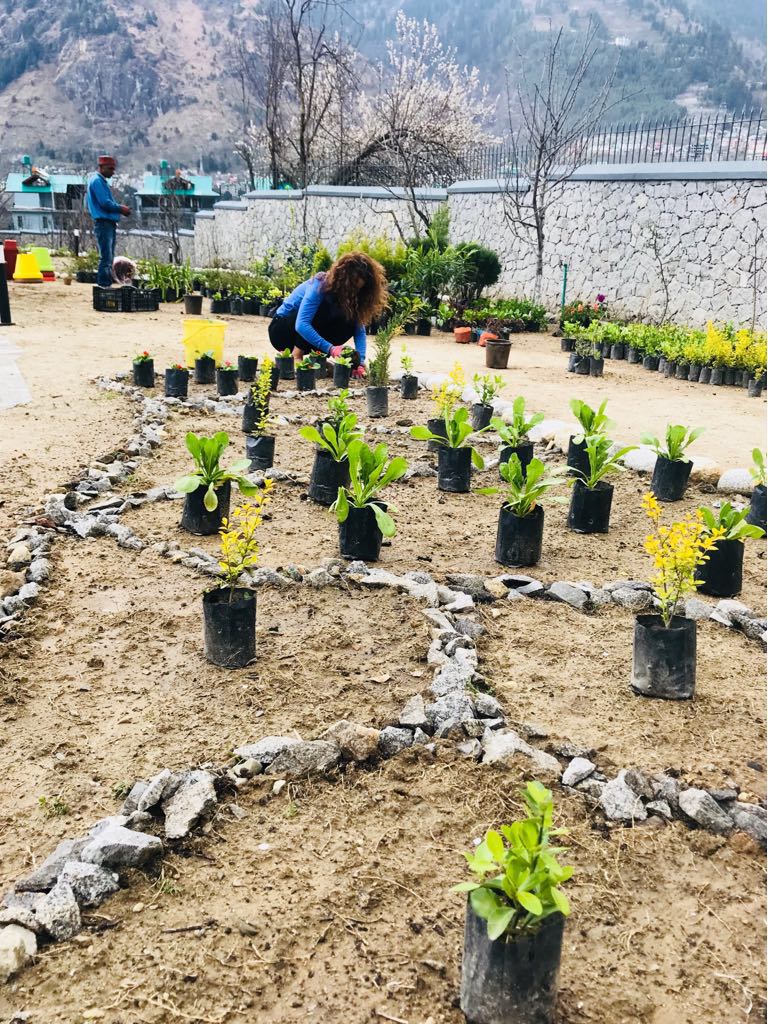 To mark her 31st birthday, #KanganaRanaut planted 31 trees in the past week. She will spend a quiet day with friends and family in Manali today. #HappyBirthdayKangana