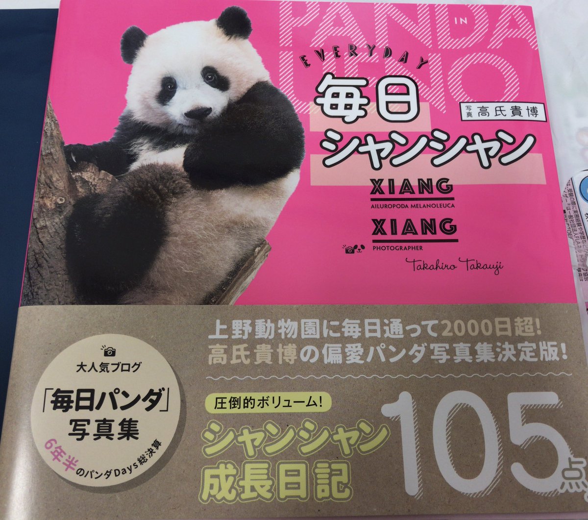 毎日シャンシャン 毎日シャンシャン