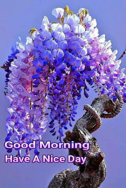 DongoJoshua's tweet image. 