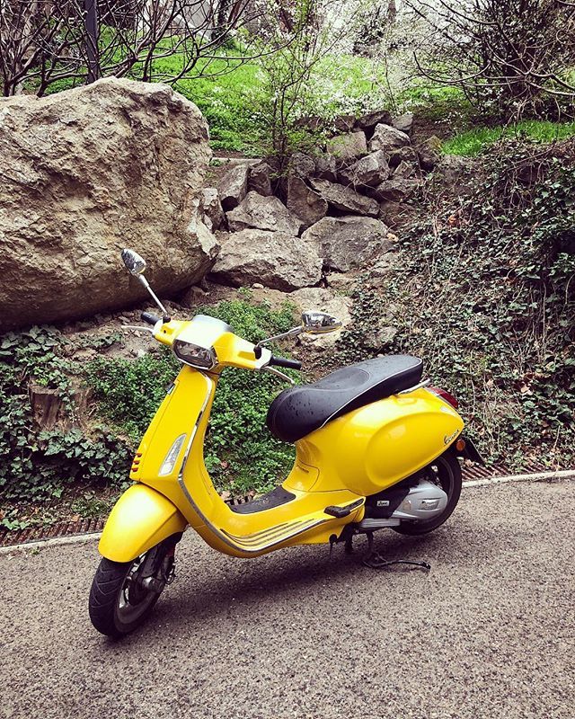 დღეს განსაკუთრებით ყვითელია :) 🛵 @vespa_bumblebee ift.tt/2pDY5oH